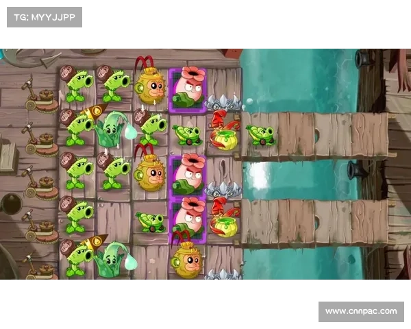 植物大战僵尸2攻略海盗8 植物大战僵尸2攻略海盗8